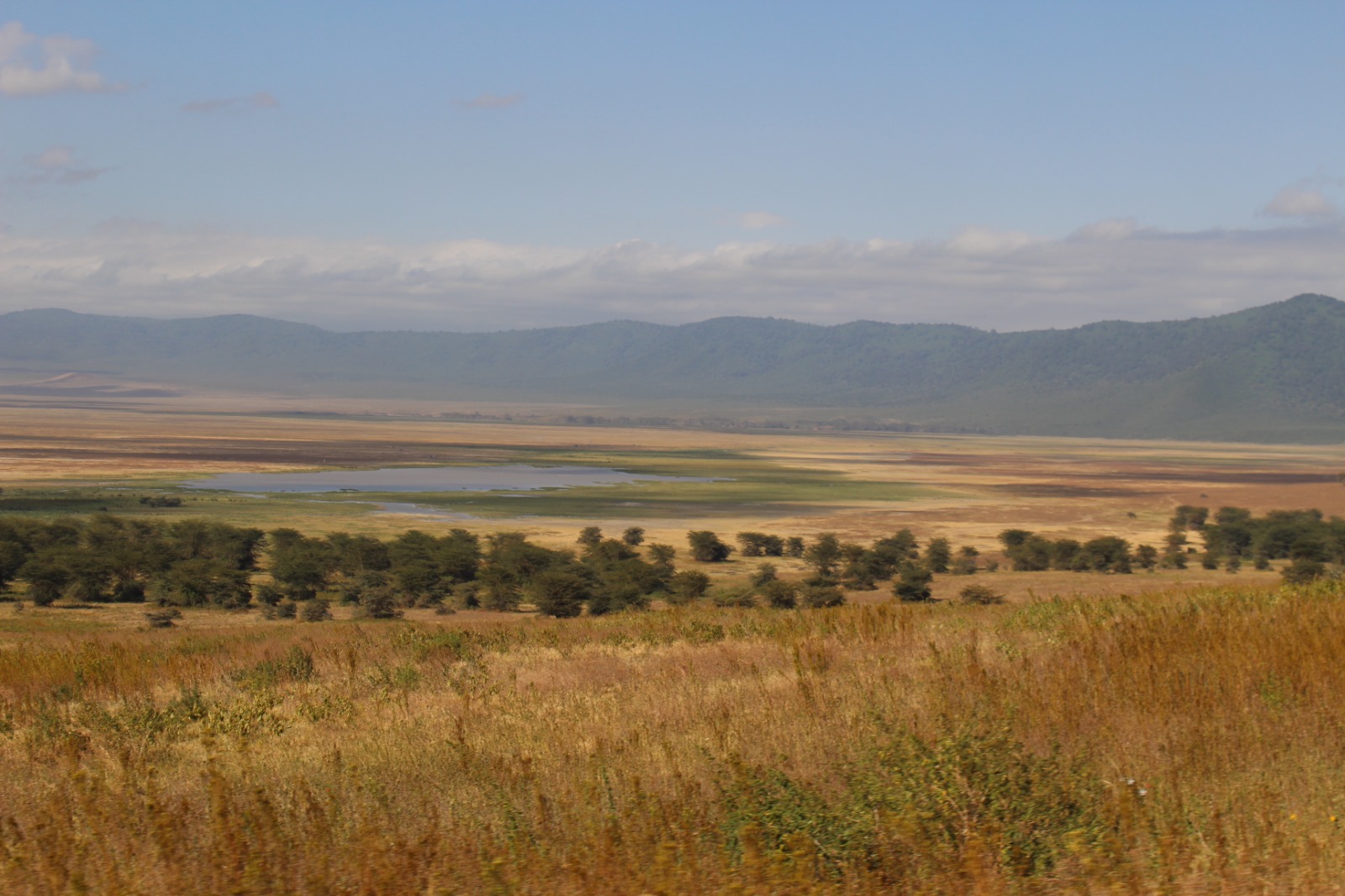 2-дневное сафари среднего уровня в Танзании
